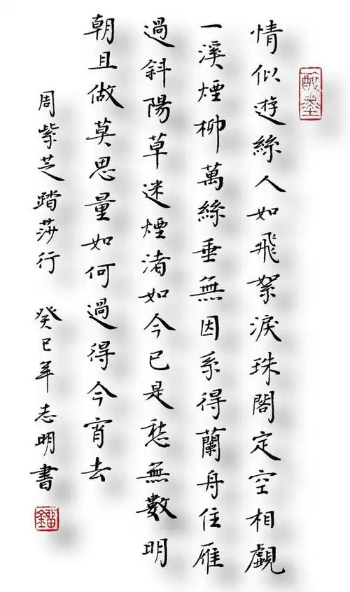 踏莎行情似游丝周紫芝宋词注释翻译赏析