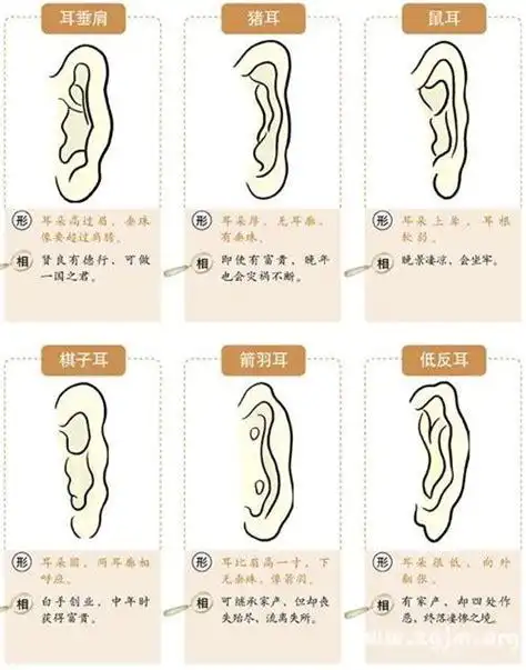 耳朵天生有一个小孔的命运