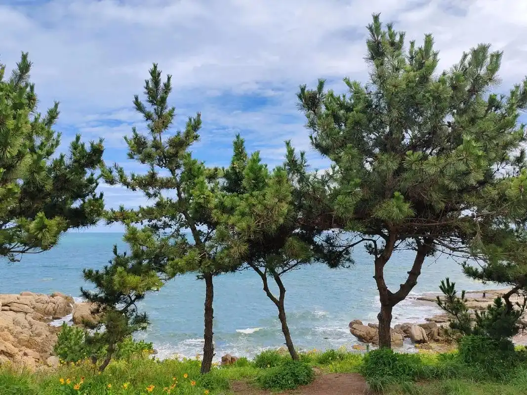 青岛黄岛鱼嘴嘴银沙滩.#享受夏日与海风 #一起看海 蓝天白云 - 抖音