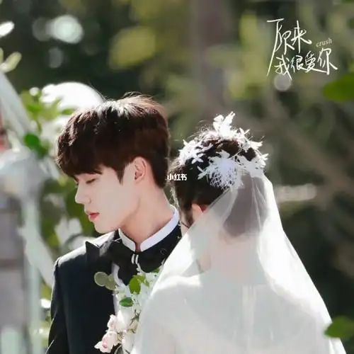 看他看他进来看