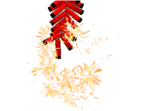 295_221gif 动态图 动图