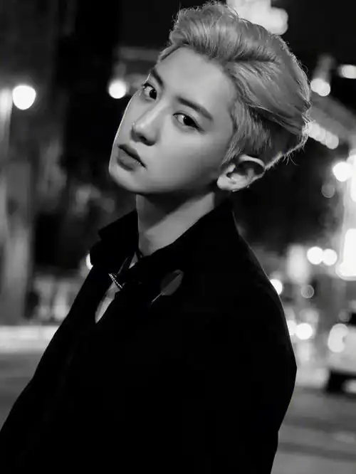 exo橙光单人坑(灿烈篇)第二弹