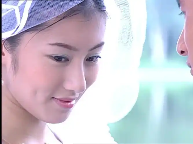 第三十七集 王惠 少年王卫斯理 白素