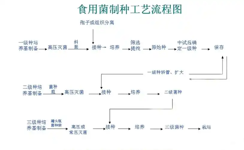 哈尔滨尚志市尚志市绿色食用菌综合加工项目