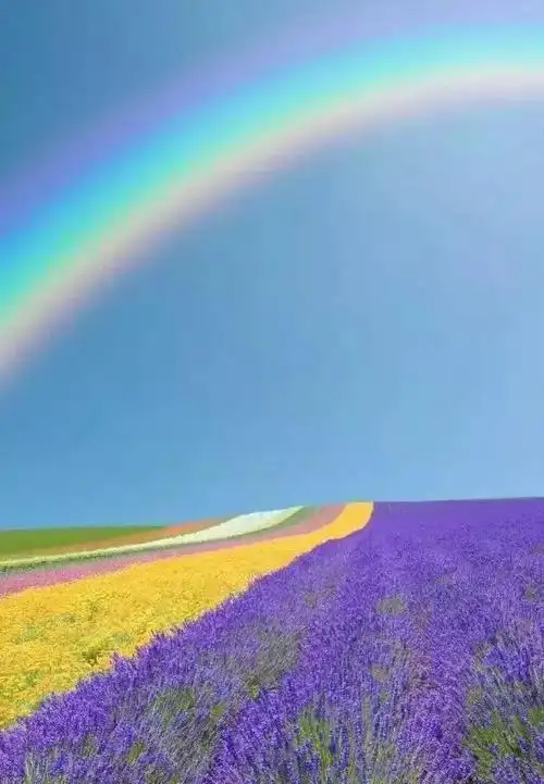 632_911竖版 竖屏