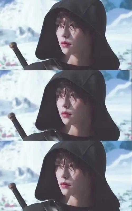 姐妹们谁有小哥沙海雪地回眸那个动图啊我馋他很久了