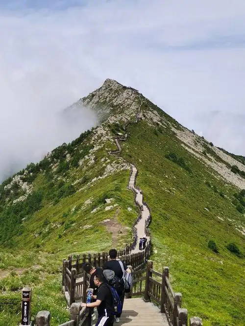 7215 #太白山国家森林公园气候独特,海拔每升高一米温度降低0.