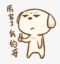 厉害我的哥厉害了我的哥小狗表情包高清图片