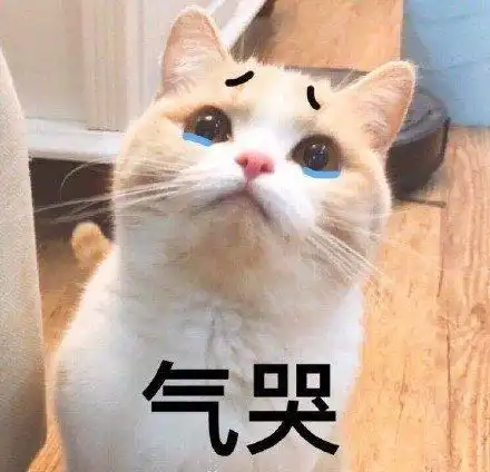 萌宠gif猫星人gif气哭gif气死我了gif呆萌gif可爱gif