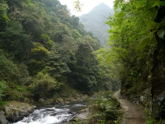云桂黔川十万大山