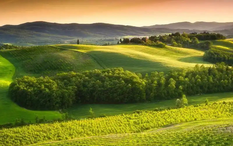 绿色清新护眼自然风景高清图片桌面壁纸