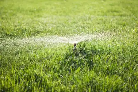 自动浇水草坪.