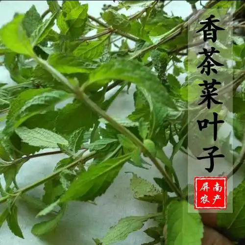野生药材香茶菜根溪黄草根铁菱角铁棱角三七铁钉角新品促销