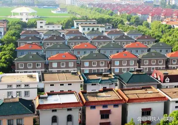 在中国的广袤大地上,有一个名叫南山村的地方,它坐落在山东烟台市龙口