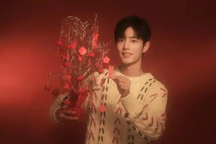 肖战成新年记录仪除夕夜贴春联挂灯笼吃年夜饭张灯结彩齐守岁