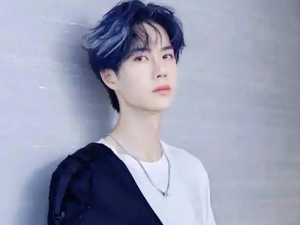 王一博履历大曝光!