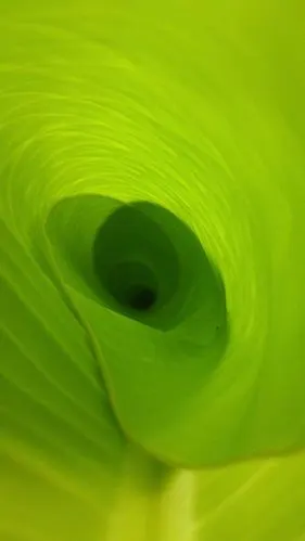 华为荣耀官方超清蓝光手机壁纸