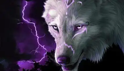 狼图片霸气图 狼图片霸气图炫酷_布阁拉