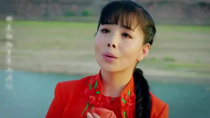 王二妮一首《我从西边来》,好听极了