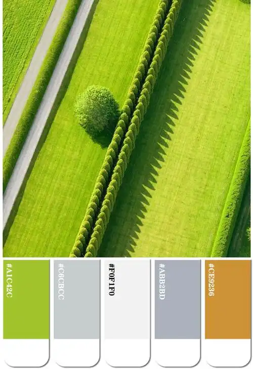 年度色彩2023年度最美的十个绿色配色