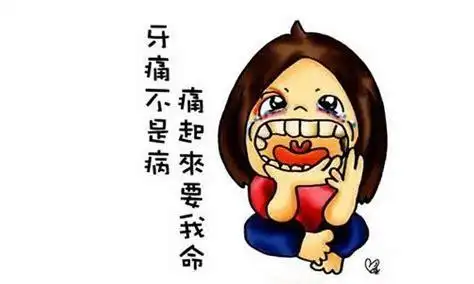 牙疼不是病 疼起来…真的不是病吗?真相在这里_新浪江西_新浪网