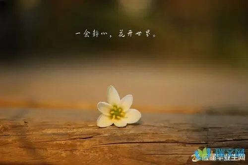 关于静心的句子大全阅读