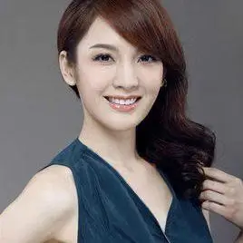 姓何的明星资料大全何姓明星有哪些