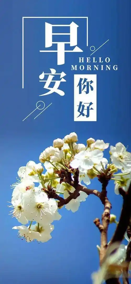 清新的早晨,希望我的一条短信,给你一天简单而充实的幸福,早上好