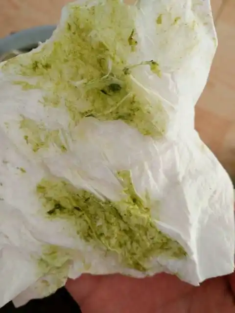 二,吐出的奶汁是绿色的,其中可能含有胆汁.