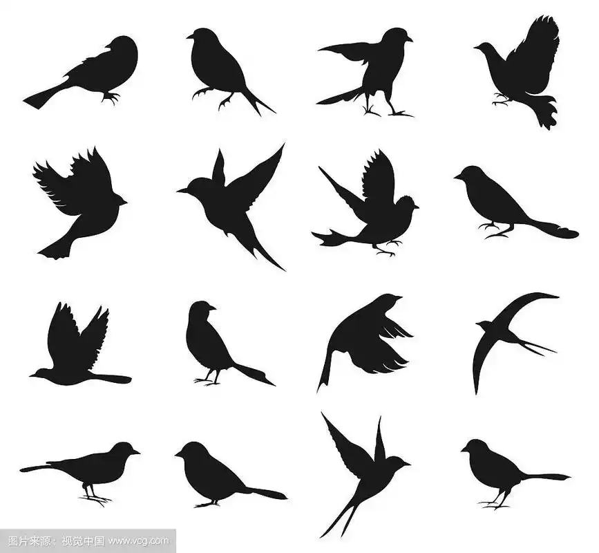一组鸟的剪影.一个矢量插图