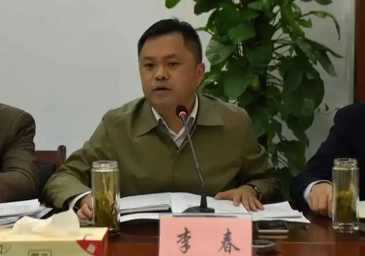镇党委书记李春