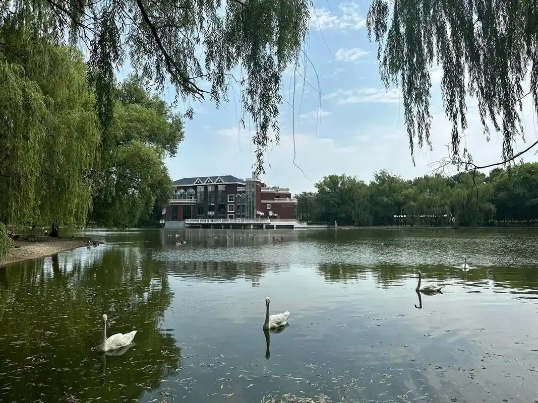 美丽的紫玉山庄           北京紫玉山庄毗邻奥运村,奥林匹克森林公园