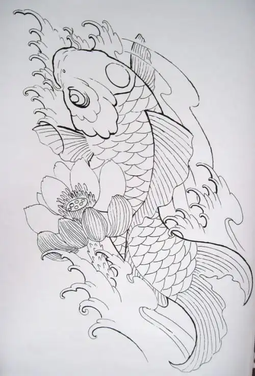 锦鲤线条纹身手稿