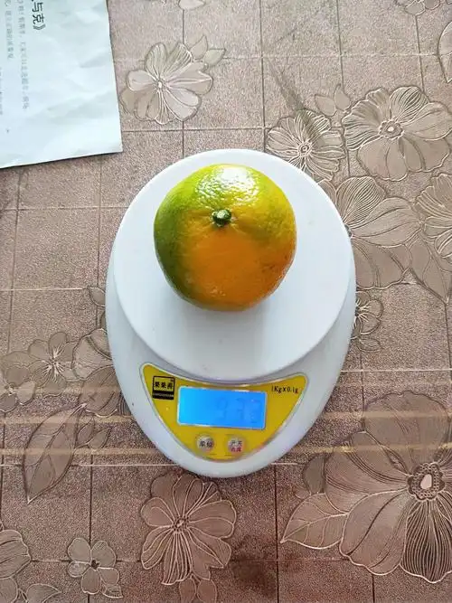 认识并学习千克与克