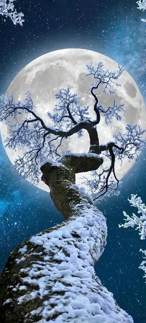 「20张」风景如画 人间仙境 高清手机壁纸送给你_网易订阅