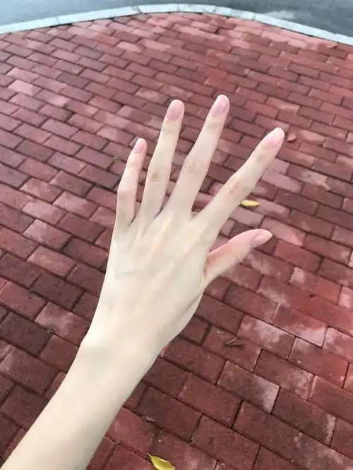 这是谁的手呀那么好看