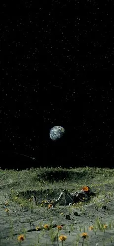 找了些特别适合曲屏的壁纸(边缘黑色),效果极佳