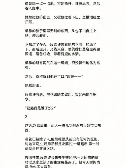 偷偷藏不住小说番外第二期