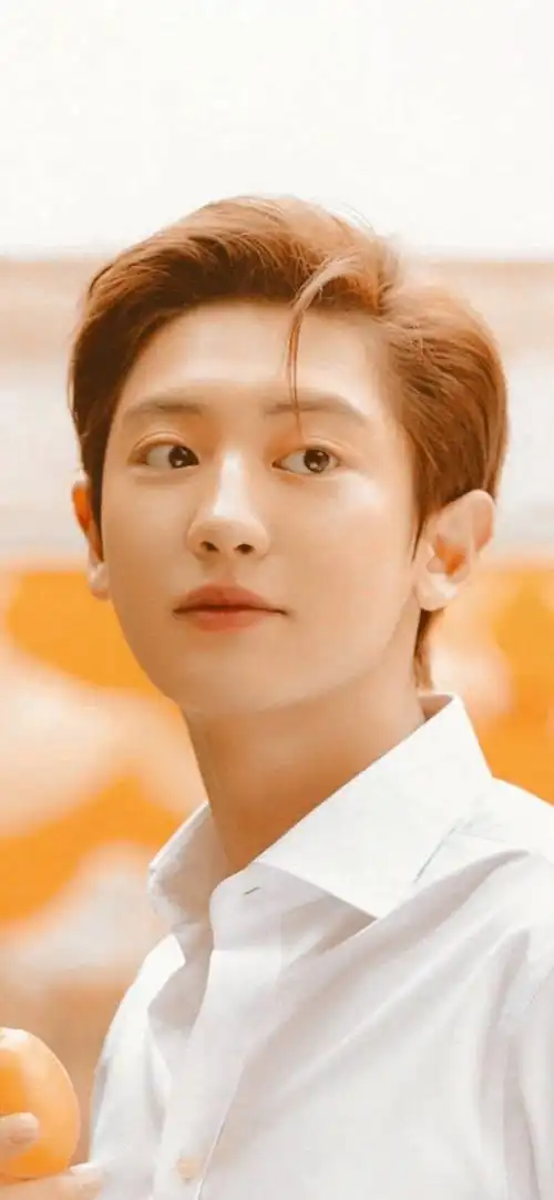 爱豆壁纸 | 朴灿烈 系列