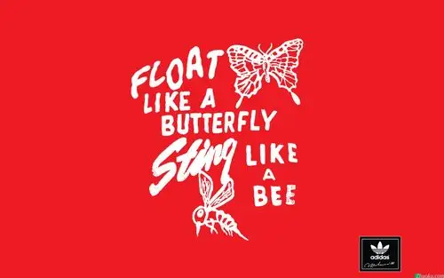 adidas三叶草精美壁纸