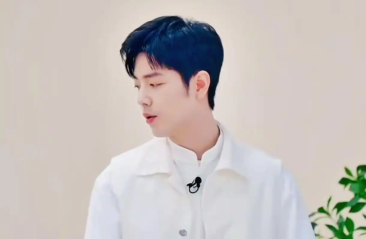 不同风格的白衣肖战