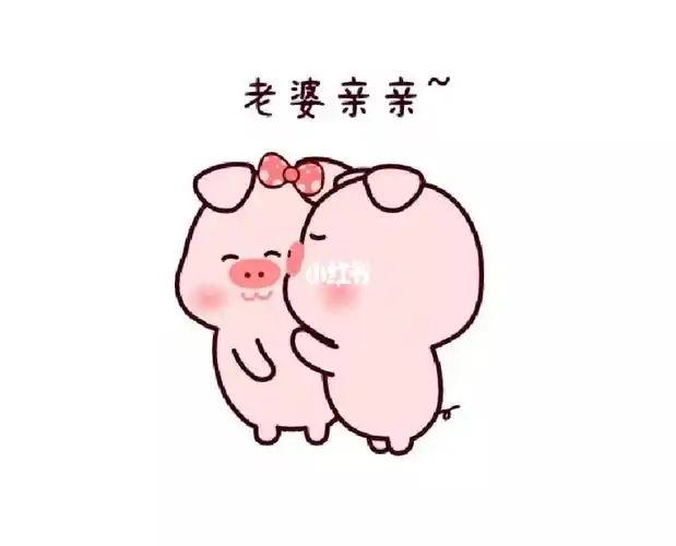 猪猪秀起了恩爱只有……小呆鸭在暗自流泪#表情包推荐#小笨猪漫画分享