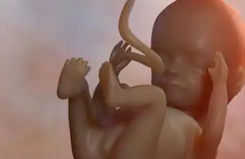 9个月真实胎儿图片欣赏2