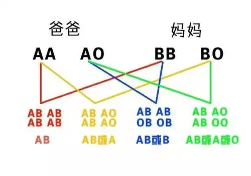 一张图,让你看懂父母与子女血型的关系