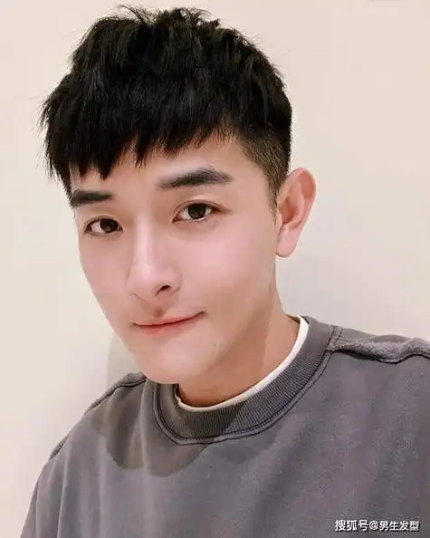 男生短碎盖发型图片 - 搜狗图片搜索