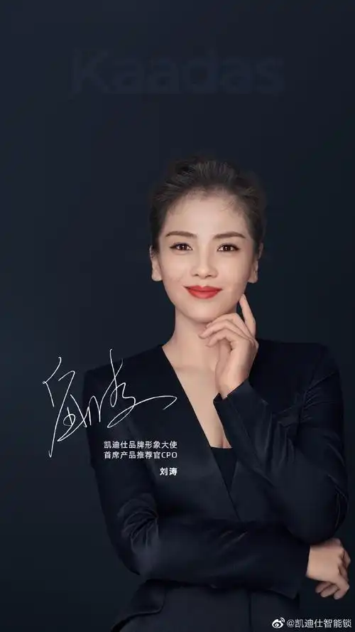 刘涛一眼锁定的凯迪仕