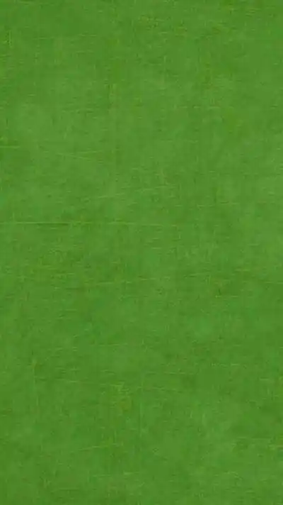 杂绿- 堆糖,美图壁纸兴趣社区