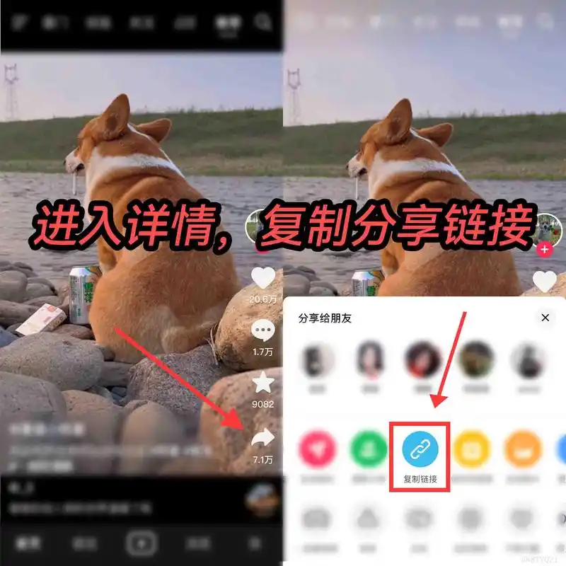 抖音图片怎么提取图片无水印