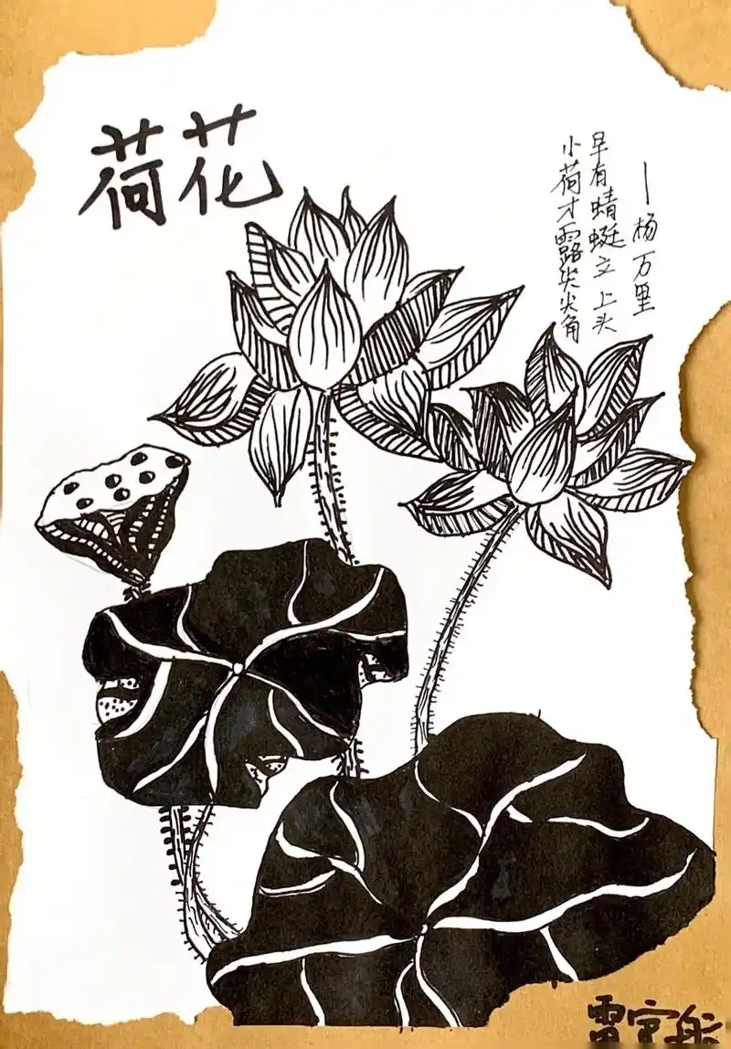 小荷才露尖尖角,早有蜻蜓立上头#黑白线描画 #跟我一起学画画 - 抖音