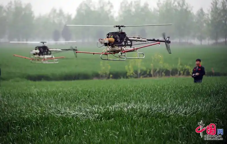 安徽亳州:遥控无人直升机喷洒农药[组图]
